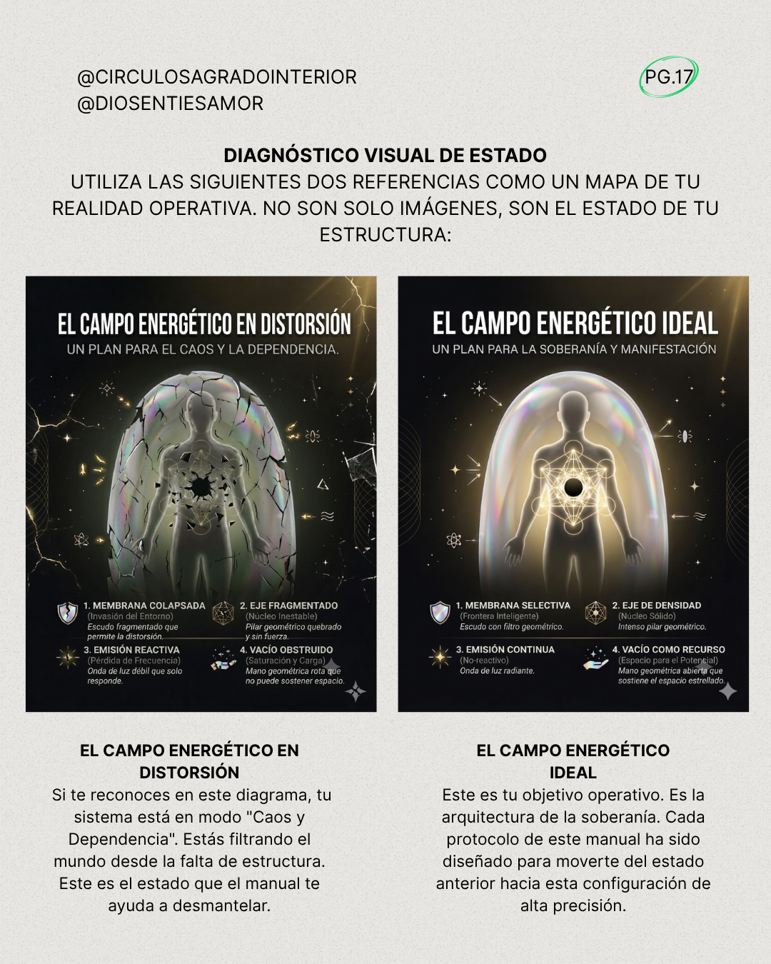 Soberanía Operativa: Manual de Corte para desmantelar el Caos y codificar tu propio Orden.